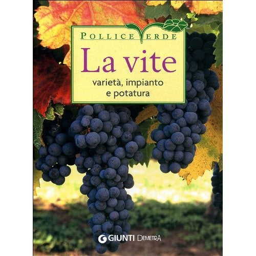 Libro - La vite Varietà, impianto e potatura - AA.VV