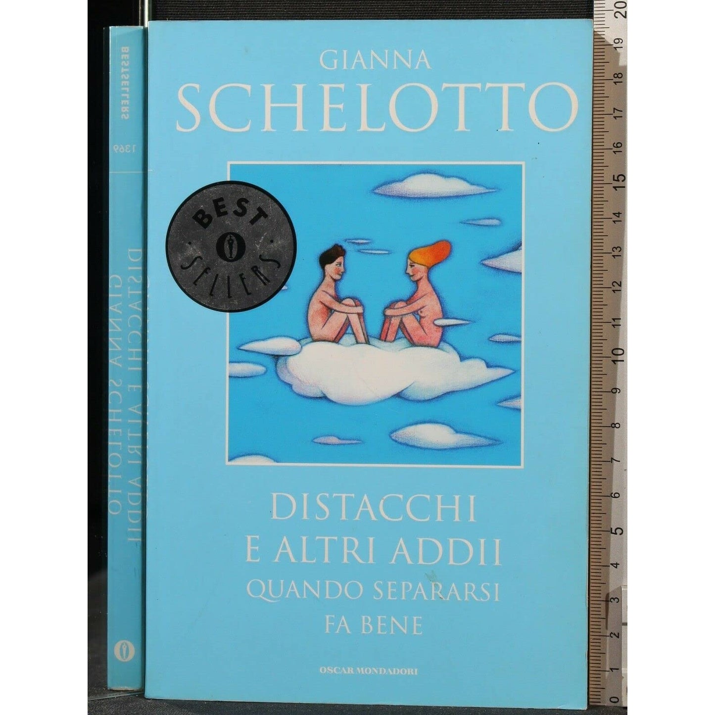 Libro - Distacchi e altri addii Quando separarsi fa bene - Schelotto