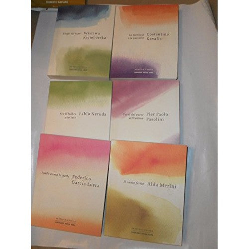 Libro - Il canto ferito - Alda, Merini