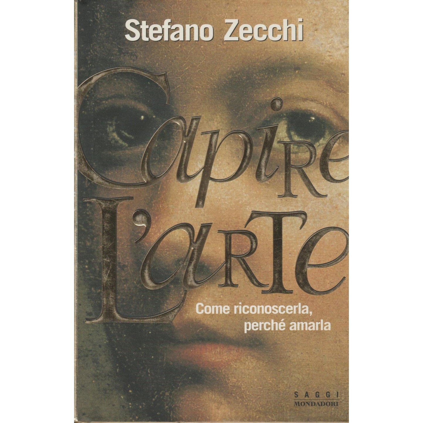 Libro - Capire l'arte Come riconoscerla, perché amarla - Zecchi, St