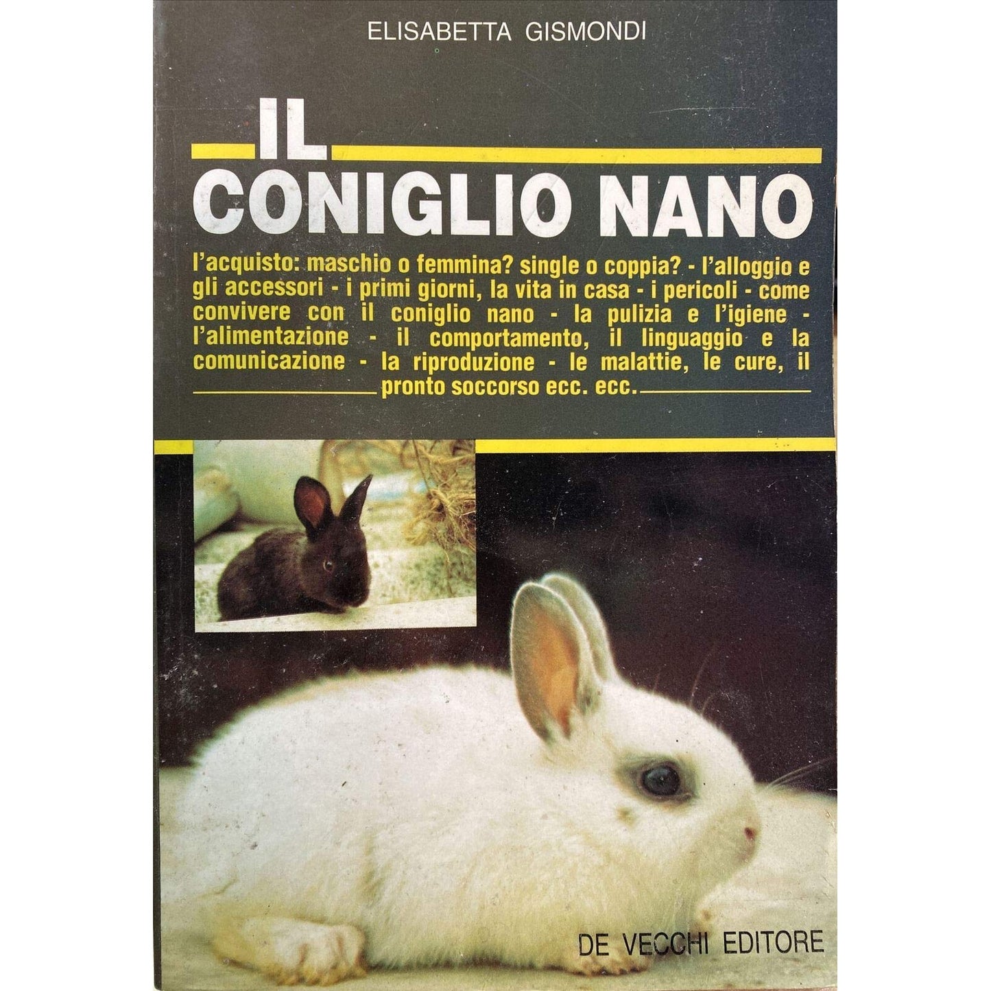 Libro - Il coniglio nano - Gismondi, Elisabetta