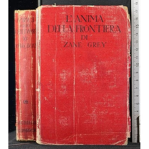 Libro - L'anima della frontiera - Zane, Grey