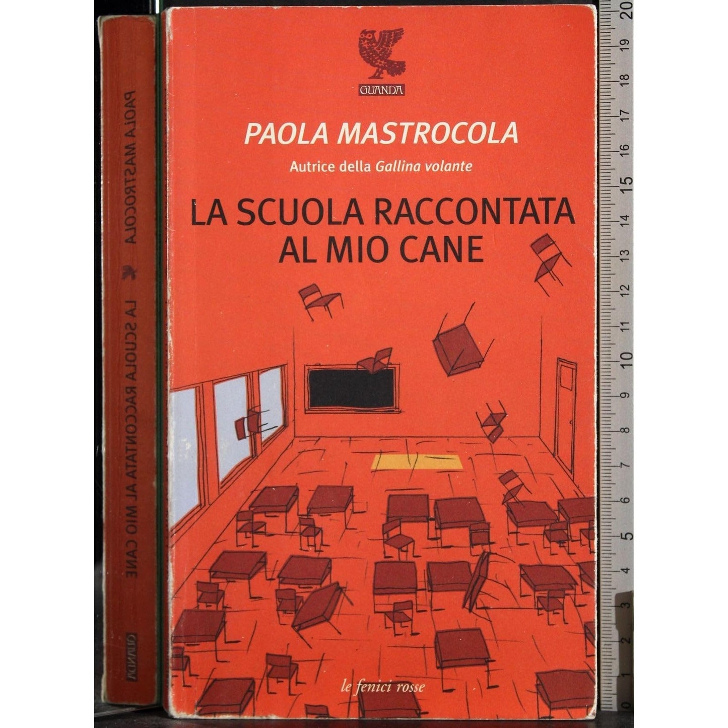 Libro - La scuola raccontata al mio cane - Mastrocola, Paola