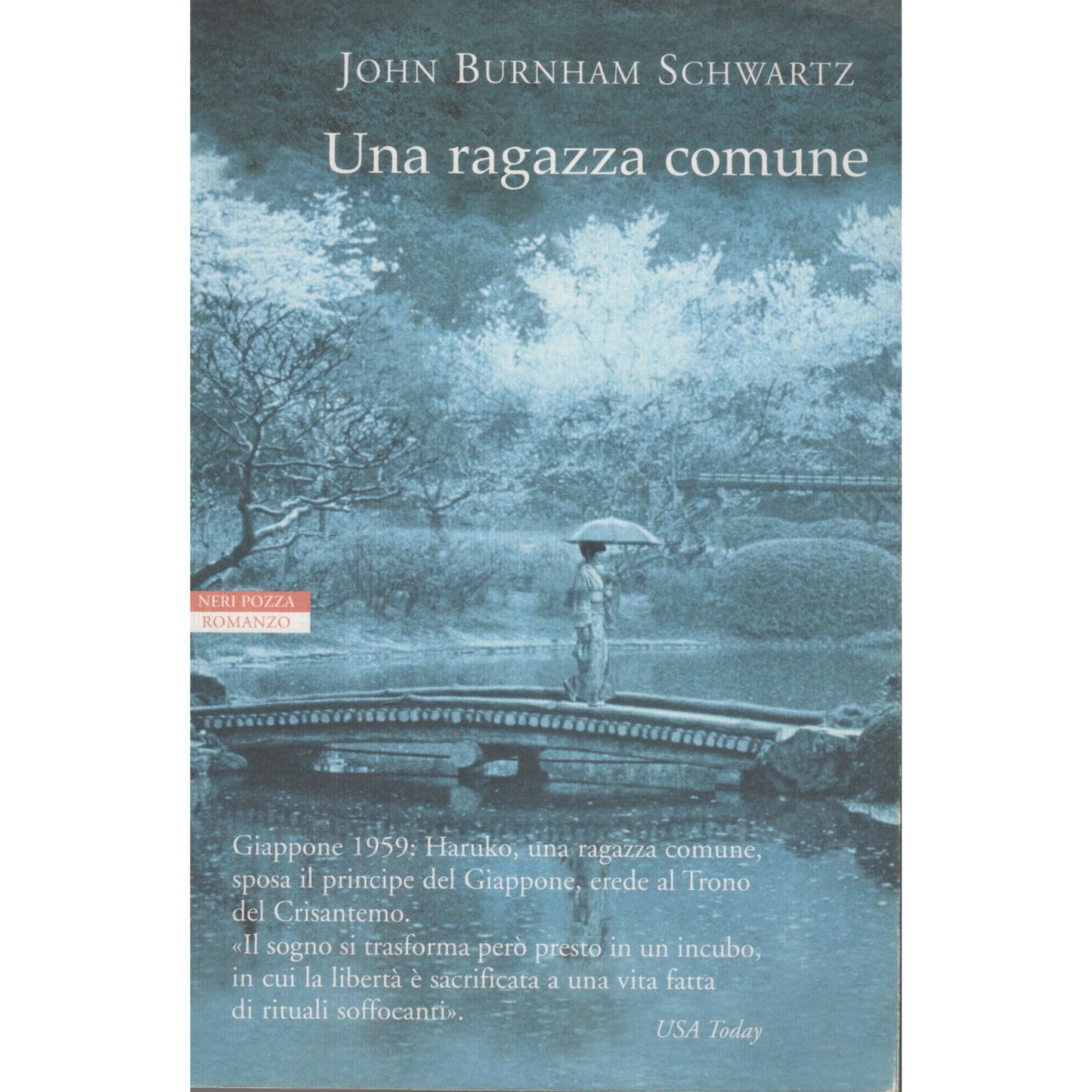 Libro - Una ragazza comune - Burnham, Schwa - Burnham Schwartz, John