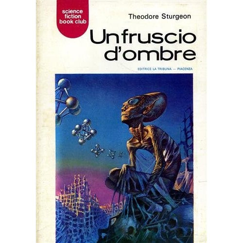 Libro - Un fruscio d'ombre