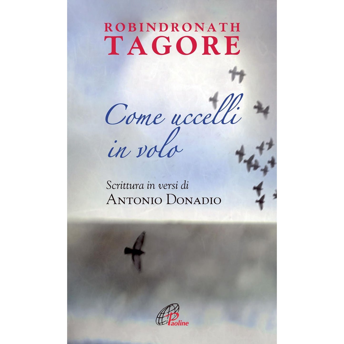 Libro - Come uccelli in volo - Donadio, Antonio