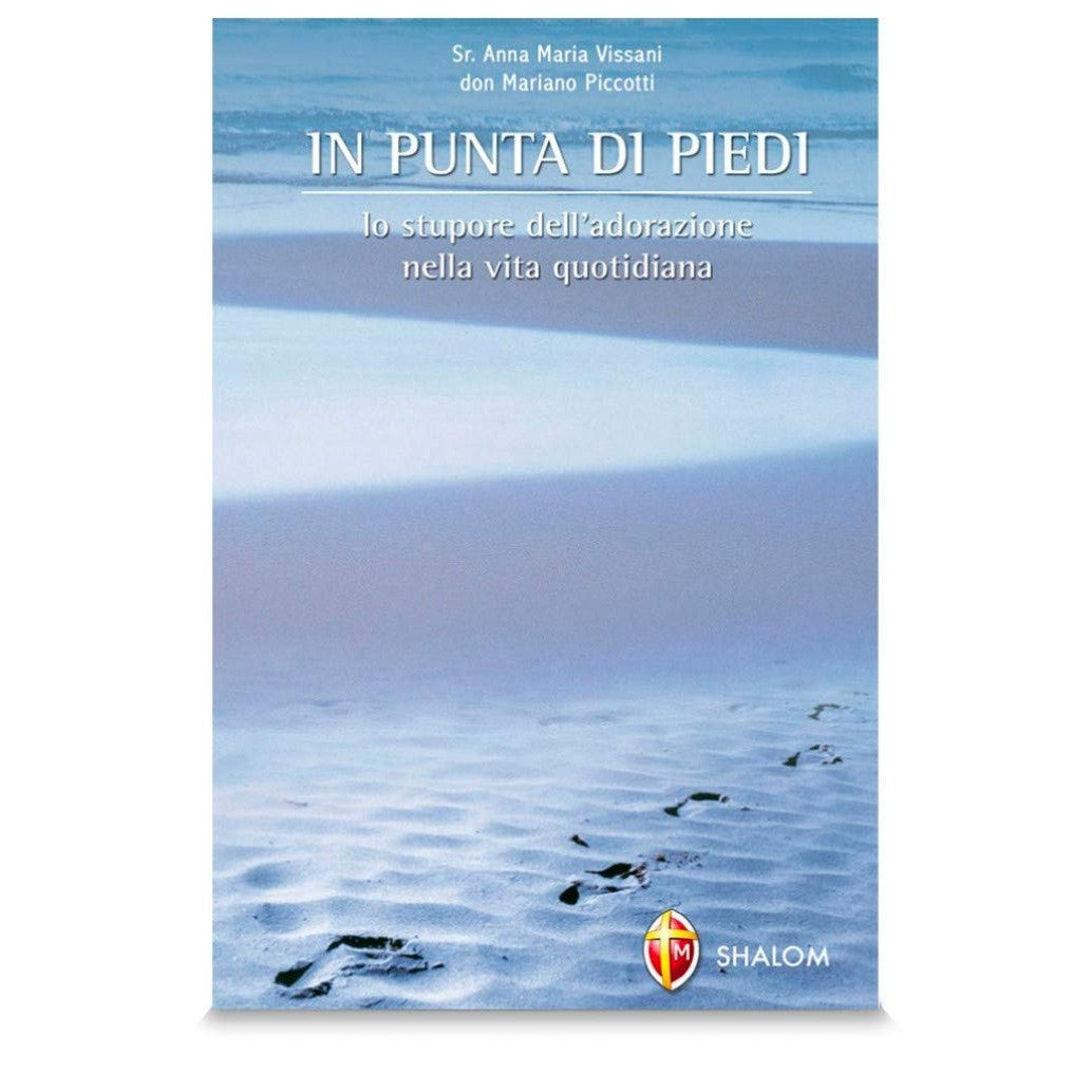 Libro - In punta di piedi Lo stupore dell'ador - Vissani, Anna Maria