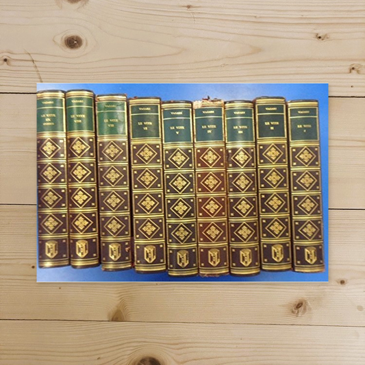 Libro - Vite di Vasari 9 volumi eccellenti pittori scultori e archit