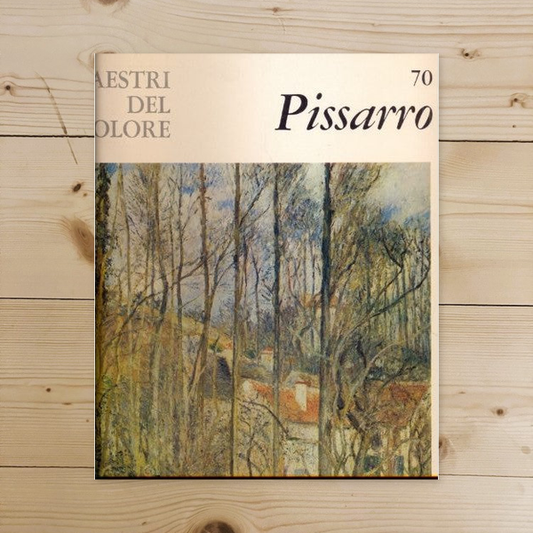 Libro - I maestri del colore: Pissarro