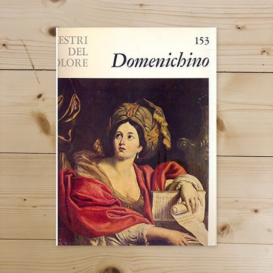 Libro - Domenichino i maestri del colore, 153 - Autori, vari