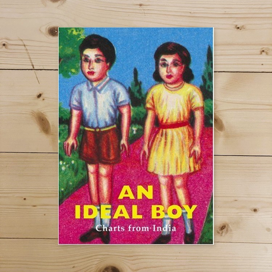 Libro - An Ideal Boy: Charts from India - Wolf, Gita