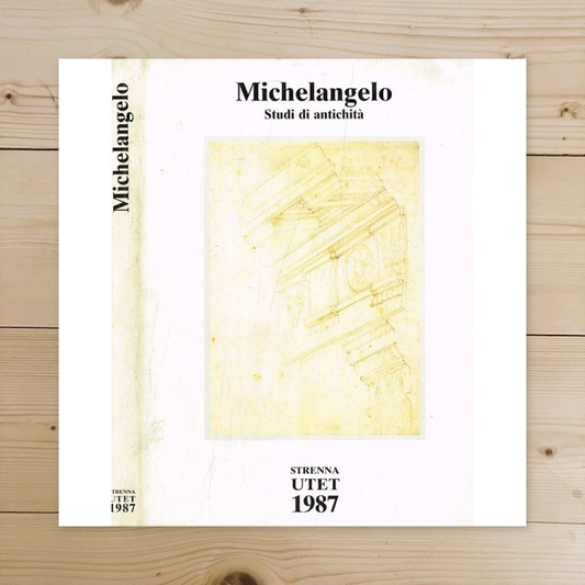 Libro - Michelangelo Studi d - Giovanni Agosto, Vincenzo Farinella, a cura di