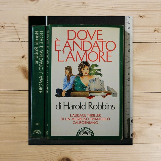 Libro - Dove è andato l'amore - Robbins, Harold