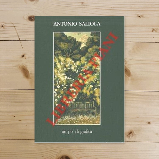 Book - Some graphics 1983-1989. - SALIOLA Antonio -