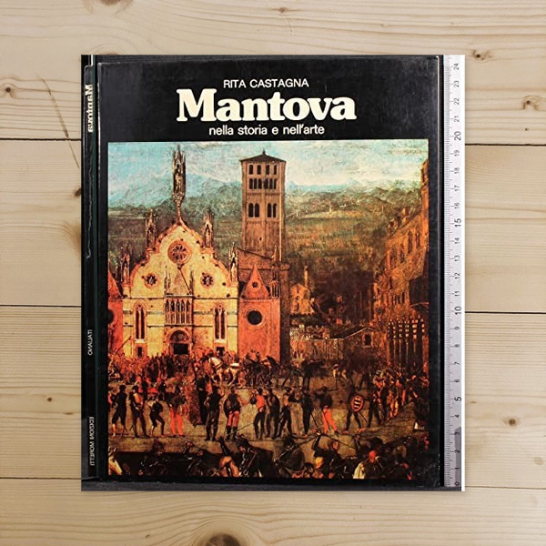 Libro - Mantova Nella storia e nell'arte - Rita, Castagna