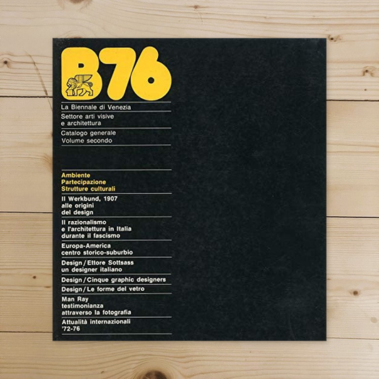 Libro - B76 la biennale di Venezia, settore arti visive e architettu