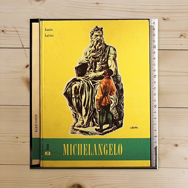 Libro - Michelangelo - Laura, Lattes