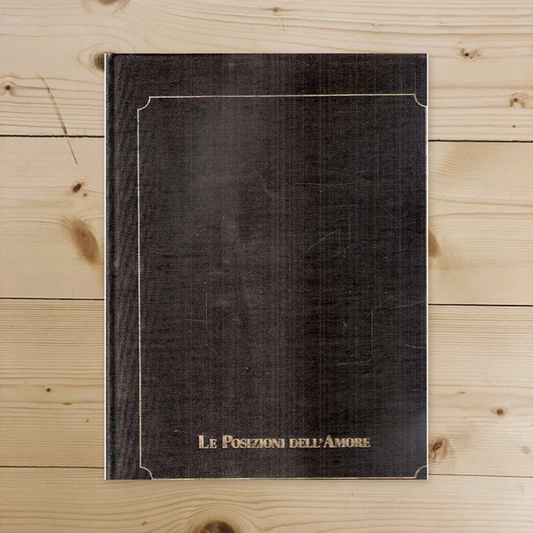 LE POSIZIONI DELL'AM - Ardengo Guido (Progetto Grafico E Realizzazione)