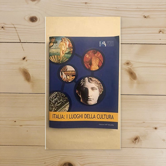 Libro - I LUOGHI DELLA CULTURA - AA VV
