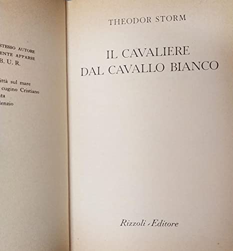 Libro - Il cavaliere dal cavallo bianco - Storm