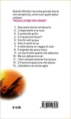 Libro - Solo il vento lo sa - Ferrero, Bruno