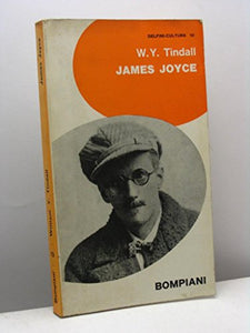 Libro - James Joyce - W. Y. Tindall