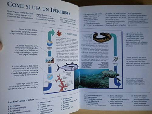 Book - The Oceans. Ed. illustrata - Gabbi, Giuseppe