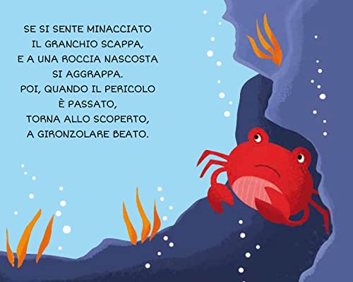 Libro - Il mare. La mia prima biblioteca. Ediz. a colori - Matteo Gaule