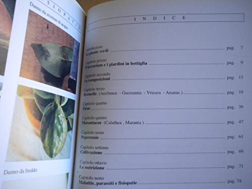 Libro - Piante verdi - Eliana Angiuli