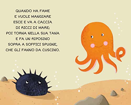 Libro - Il mare. La mia prima biblioteca. Ediz. a colori - Matteo Gaule