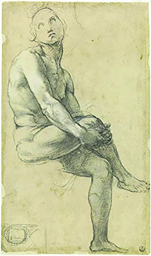 Libro - Raphael: The Drawings - Whistler, Catherine