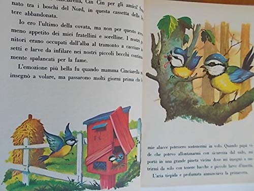 Libro - Racconti della foresta