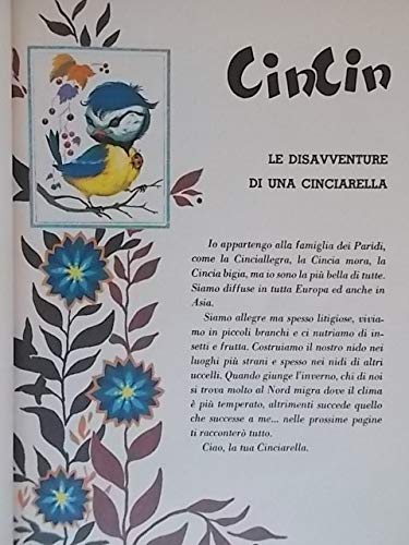 Libro - Racconti della foresta