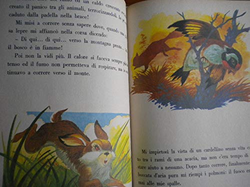 Libro - Racconti della foresta