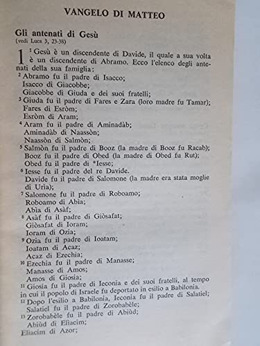 Libro - IL VANGELO E GLI ALTRI SCRITTI DEL NUOVO TESTAMENTO. - AA VV