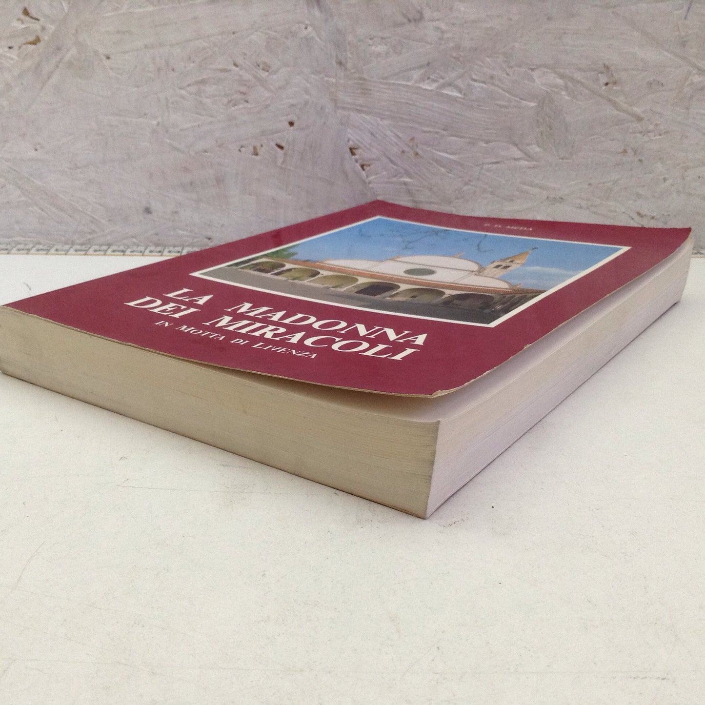 Libro - La Madonna dei miracoli Motta di Livenza - Meda Santuario 1985