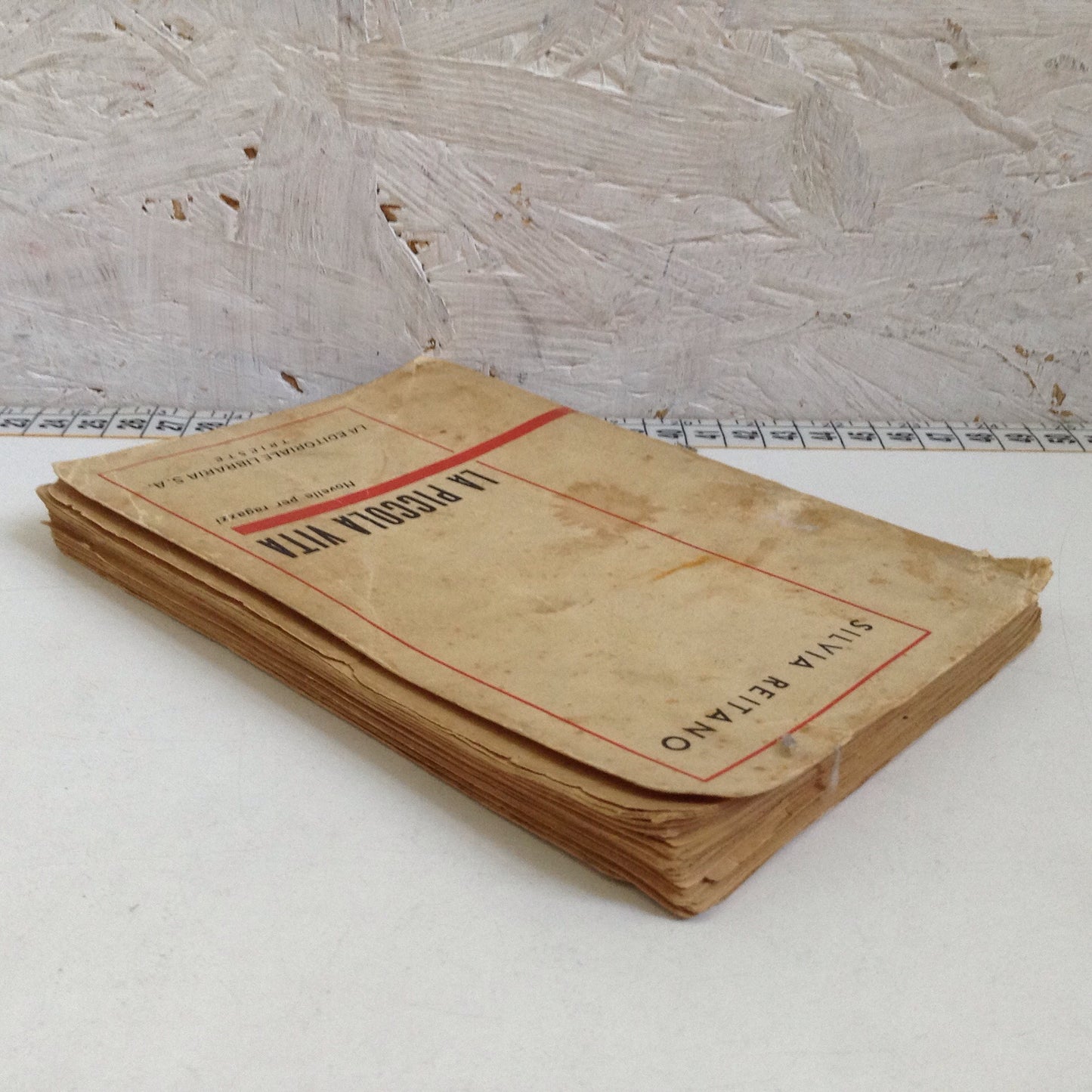 Libro - La piccola vita novelle per ragazzi - Silvia Reitano S.A.
