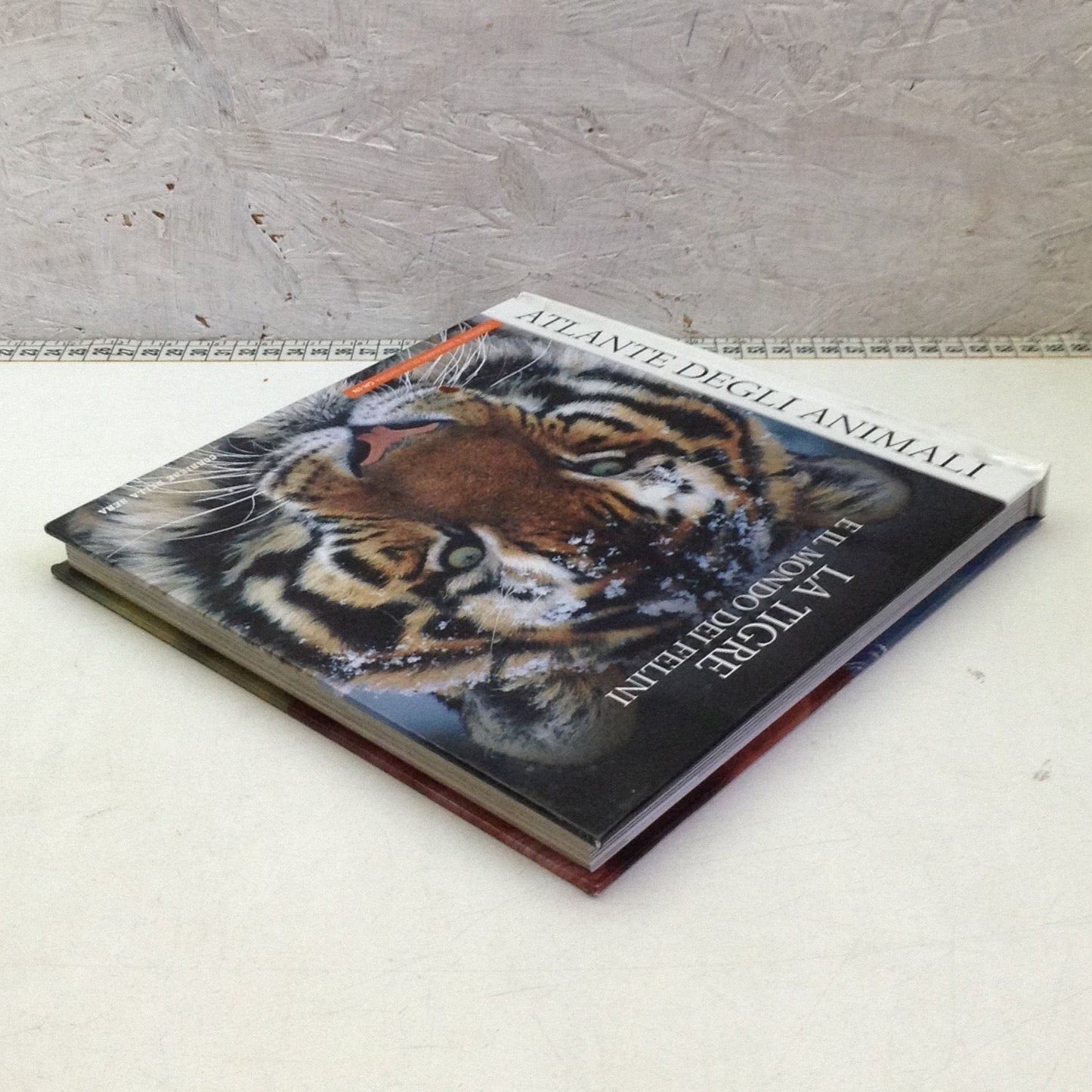 Libro - Atlante degli animali 8 La tigre e il mondo dei felini - corriere 2006
