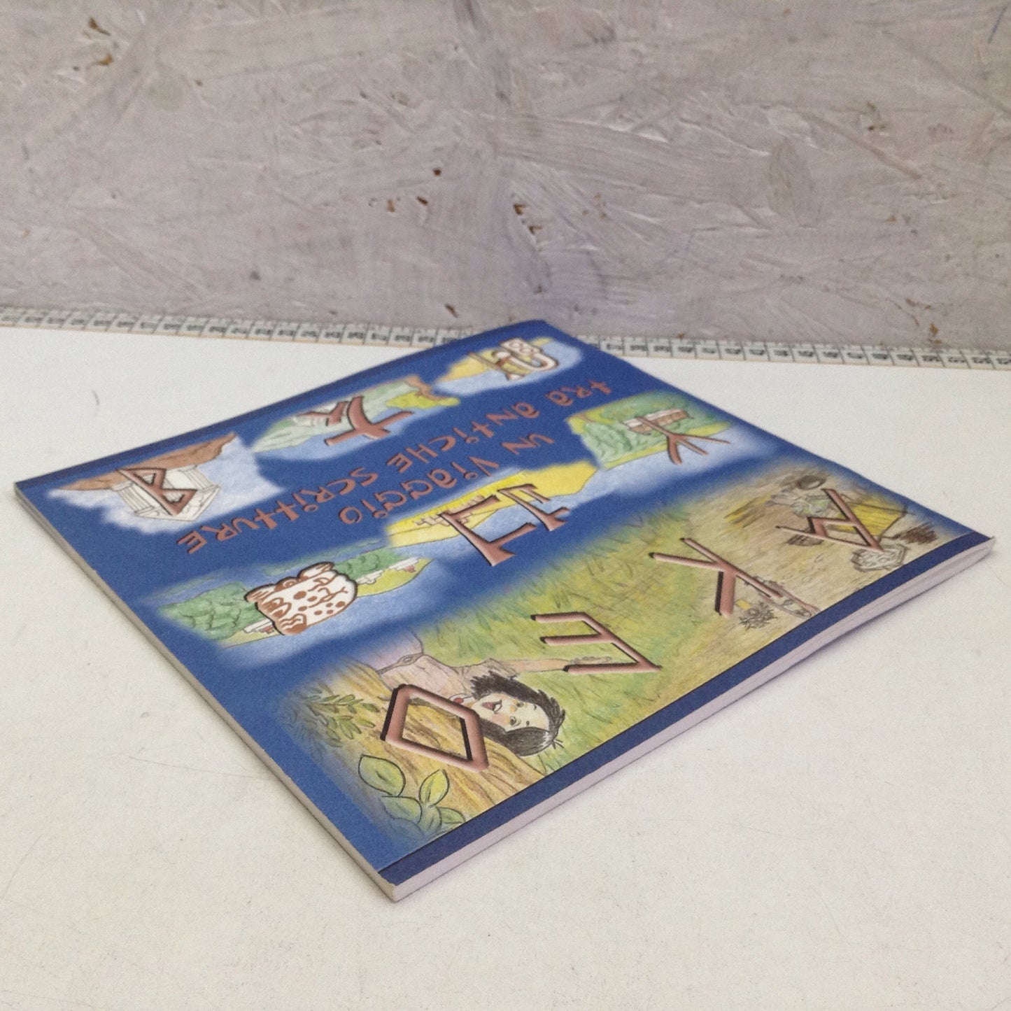 Libro - Un viaggio tra antiche scritture - Museo civico Montebelluna 2006