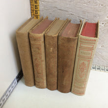 Load image into Gallery viewer, Lot of old books Successori Le Monnier Edition 5 volumes late 1800s