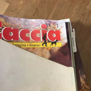 Raccolta schede L’arte della CACCIA DeAgostini 4 raccoglitori armi cani tecniche