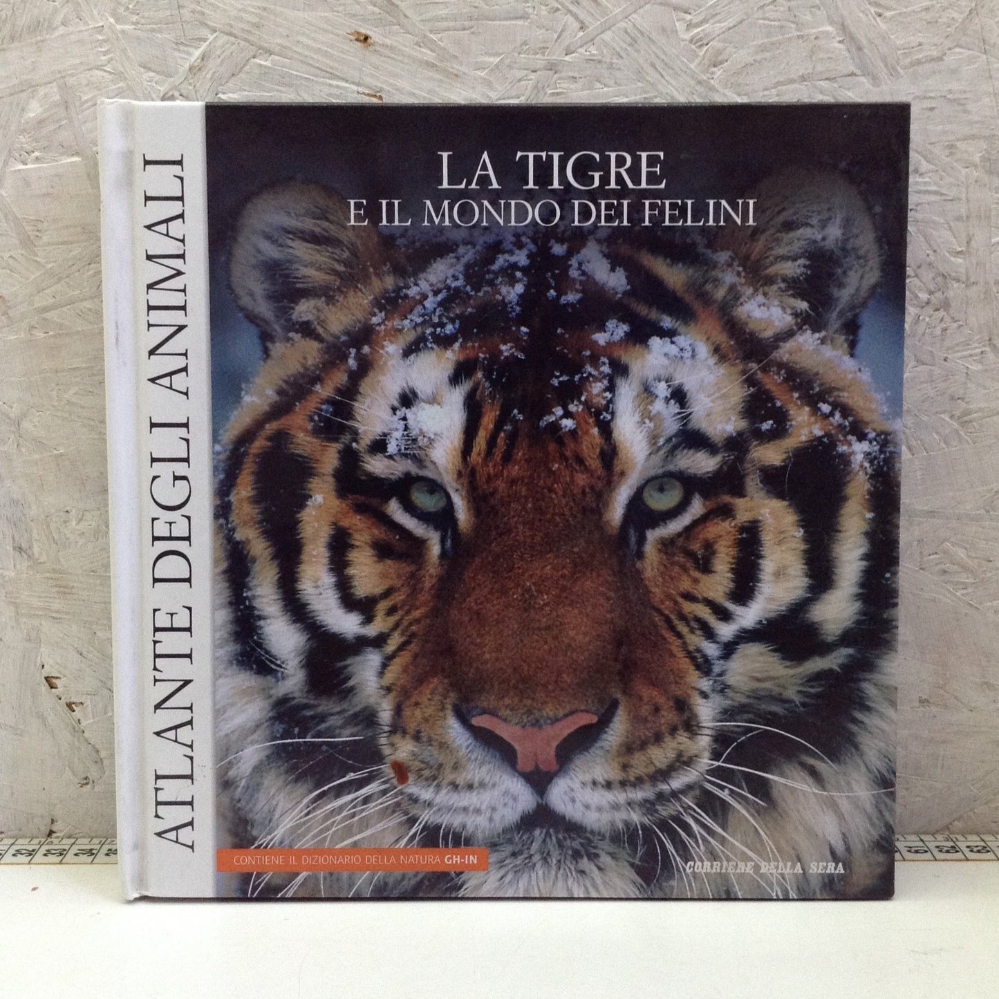 Libro - Atlante degli animali 8 La tigre e il mondo dei felini - corriere 2006