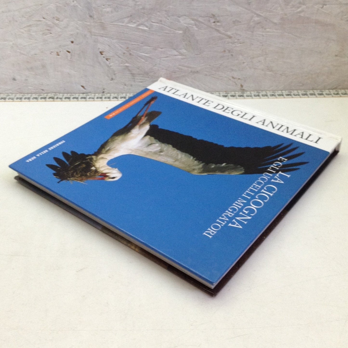 Libro - Atlante degli animali 14 La cicogna e uccelli migratori - corriere 2006