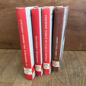 libro - Enciclopedia raccolta LA NUOVA SCALA D’ORO Utet 4 volumi