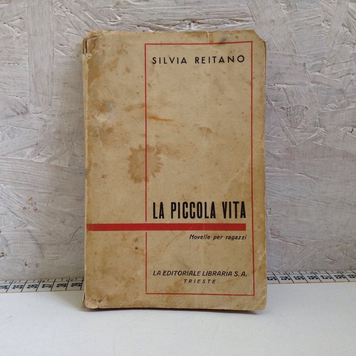 Libro - La piccola vita novelle per ragazzi - Silvia Reitano S.A.