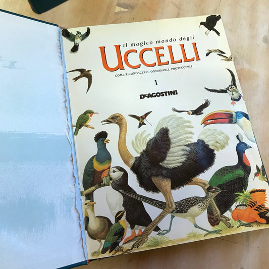 Enciclopedia Il magico mondo degli uccelli DeAgostini 1995 2 volumi